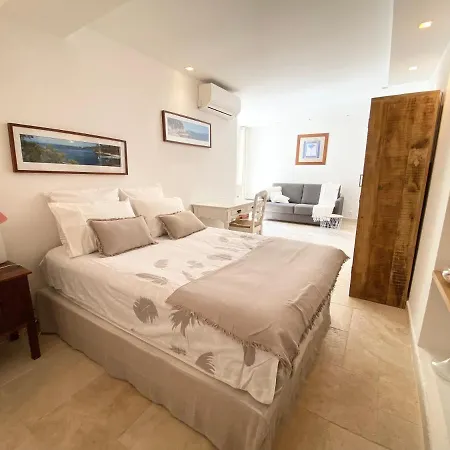 Villa Mas Des Iles D'or - De Luxe Vue Mer *