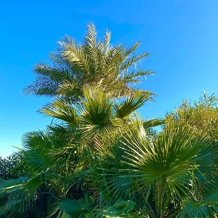 Villa Mas Des Iles D'or - De Luxe Vue Mer